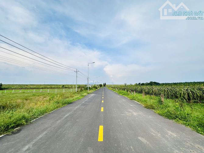 Bán Đất 5376m2 Mặt Tiền Nguyễn Minh Châu, Tân Tiến, La Gi  2.4 triệu/m2 - 2