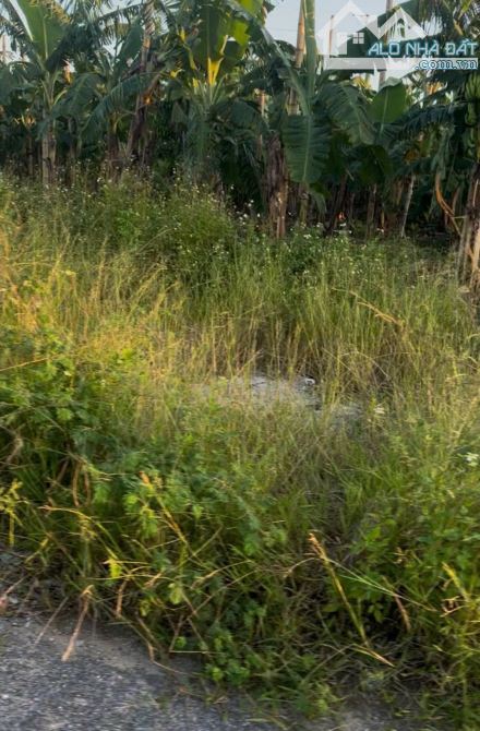 🏠 BÁN NHÀ ĐẸP GIÁ TỐT – TRUNG TÂM ĐỒNG HẢI, AN HƯNG, AN DƯƠNG, HẢI PHÒNG 🌿( P HỒNG AN ) - 2