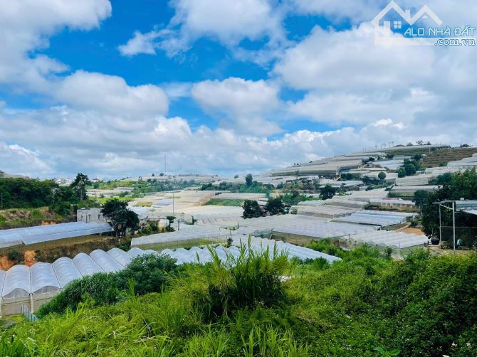 Gần 1200m2 sẵn 300m2 xd đất view xóm Lèo Huỳnh Tấn Phát Đà Lạt chỉ 15 tỷ - 2