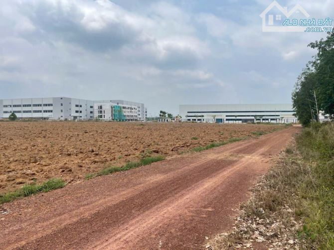 Ngang 23 m đất ngay Khu công nghiệp mà giá chỉ 320 triệu tìm đâu ra đây cả nhà giá thương - 2