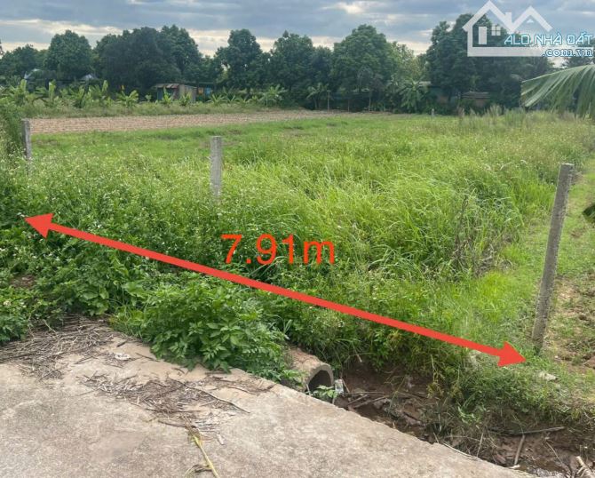 CHÍNH CHỦ GỬI BÁN LÔ ĐẤT50 NĂM. YÊN MỸ 467M, MT 7.91M. ĐƯỜNG THÔNG OTO. - 2