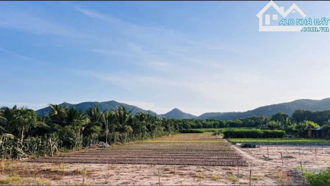 🌄 Long Mỹ View Núi – 2 Mặt Tiền – Gần Biển Phước Hải chỉ 5p 🏖️ - 2