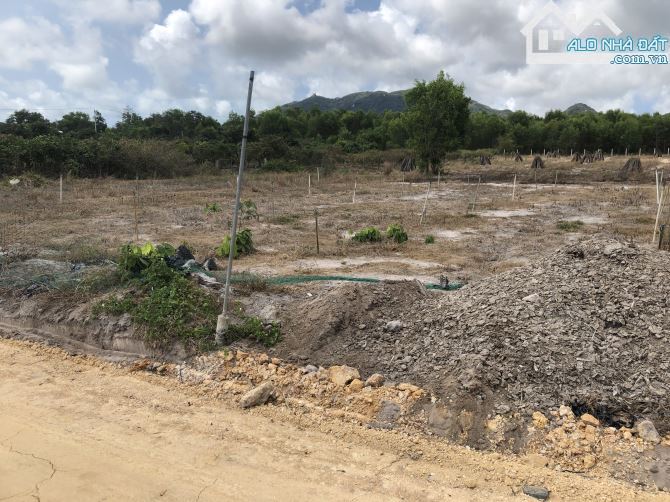 🌳 1 Mẫu Đất Cây Lâu Năm TT Phước Hải – Gần Biển – Sổ Sẵn – Giá Tốt 🌊 - 2