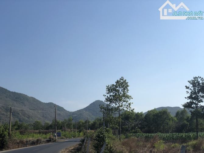 🌄 Bán 1 sào đất 20m mặt tiền trục chính TT Phước Hải, view núi Minh Đạm, gần biển - 2