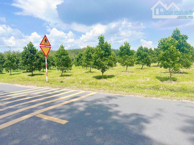 Bán đất HCM, nằm trêmặt tiền đường huyện 32m, nở hậu đẹp vuông vức về sau giá 450tr 380m2 - 2