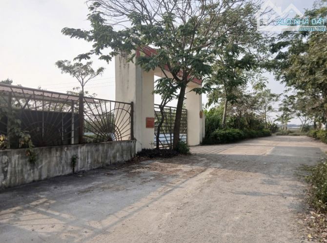 Nhỉnh 2 tỷ có 83m đất đấu giá, lô góc 2 mặt tiền, Đường rộng 6m - 2