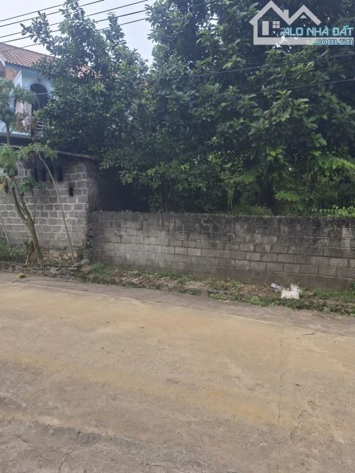 Cần bán 121m2 full ONT  cách đường HCM 200m, rất thuận tiện giá chỉ 680tr - 2
