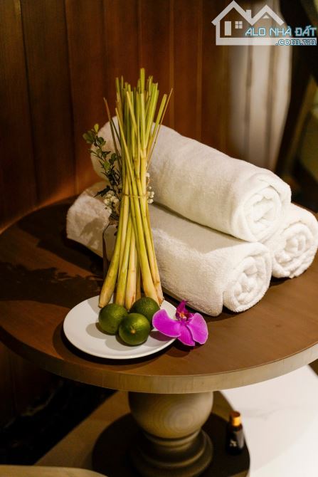 Cần Bán Villa nghỉ dưỡng Thanh Tam  Cẩm Thanh, Hội An trên 500m2 giá 16tyxx - 2