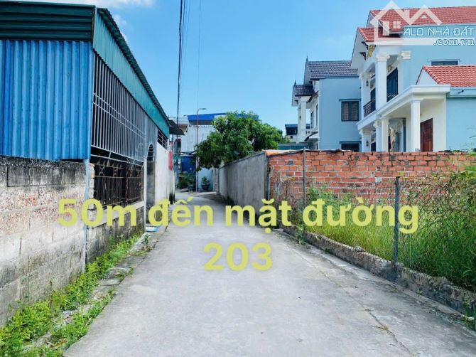 80m2 Tuyến 2 Đường 203, Ngay Chợ Hoa Động, Đường Thông nay chỉ 2,2xx tỷ - 2