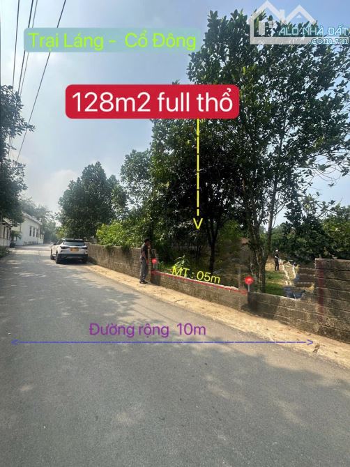 🔥 128m² full thổ trục chính Cổ Đông – đối diện Tomodachi Làng Mít! - 2