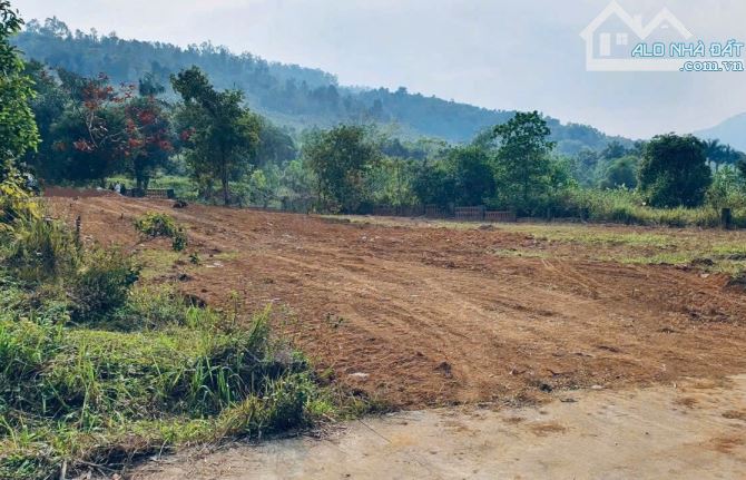 Đất rẻ Minh Quang, Ba Vì, 558m, 150m tc, tựa núi, view đồng, đường oto thông, chỉ 1.55tỷ - 3