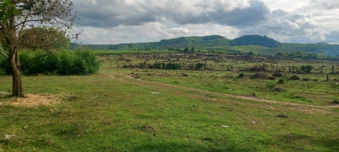 30ha Đất RSX sổ đỏ sang tên trong ngày làm Farms  hay trang trại - 3