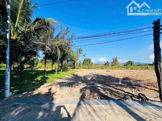 Đất FULL Thổ Cư giá rẻ- Cách đường Tỉnh Lộ 2 chỉ 400m dành cho người Tài chính thấp - 3