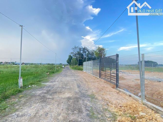 🌅Siêu Vip Gần Biển Phước Hải🌾689m²–300TC–View Núi & Cánh Đồng–Chỉ 4,2 TỶ - 3