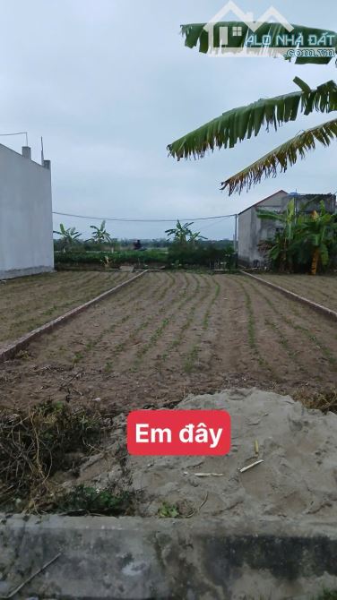 Mua bán nhà đất thổ cư giãn dân Hưng Yên giao dịch mua bán sang tên sổ đỏ chính chủ - 3