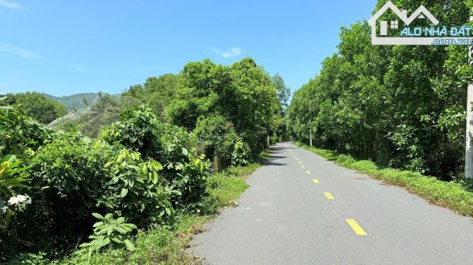 🌳Vườn Nhãn Phước Hải – Long Đất – 2.577m² – View Núi Minh Đạm & Gần Hồ Sở Bông - 3