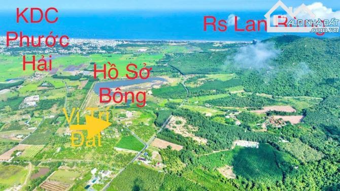 🏞️ Thị Trấn Phước Hải – Đối Diện Hồ Sở Bông – View Núi Minh Đạm – 919m² – Giá 6,4 Tỷ - 3