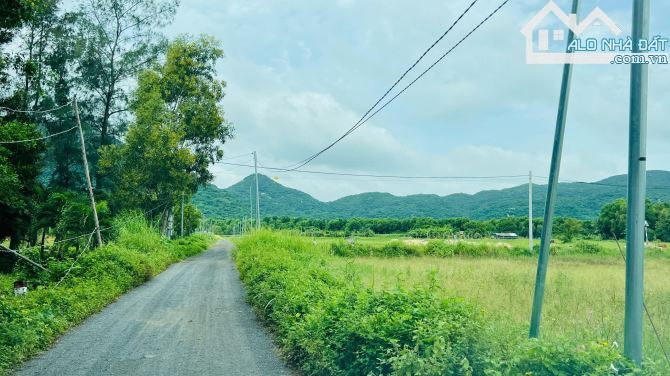 🌿 Lô Góc 1.710m² – Gần Glamping Đồng Gió – Cách Biển 2km – Giá 6,5 Tỷ - 3
