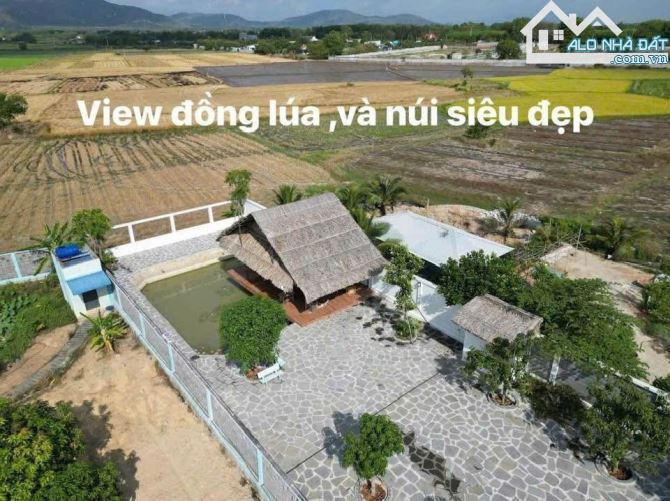 💥 Đất Thị Trấn Phước Hải - Mặt Tiền Đường Nhựa - 877m² - Giá 6,2 tỷ 💥 - 3