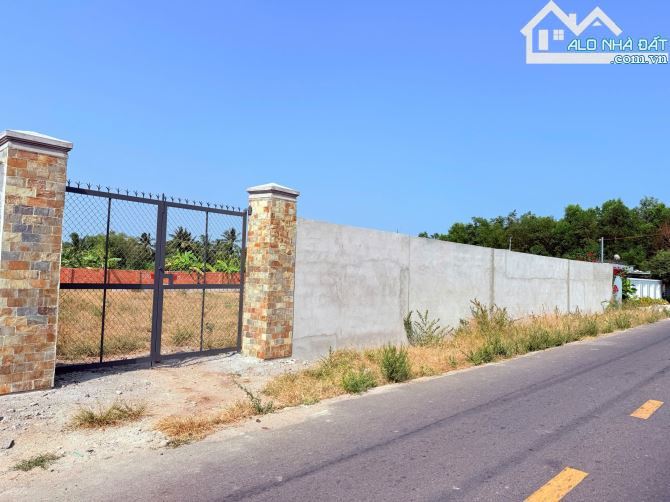 Đất 1110m², full thổ cư, gần UB Phước Hải – Cách biển chỉ 2km 🏡 Giá 7.5 tỷ TL - 3