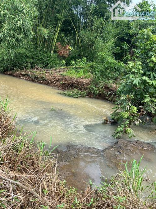 🔥 Bán Nhà Vườn 2,8ha View Suối Đẹp – Có Sầu Riêng, Xoài, Nhà Cửa, Điện Nước Đầy Đủ – Lộc - 3