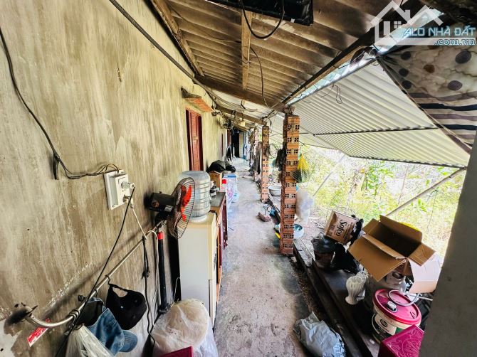 Bán Nhà 2 Mặt tiền 6x55m (324m2) Đường Số 1 Tân Bình Lagi - Cách Biển Lagi 10 Phút - 3