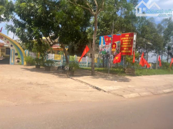 Bán mảnh đất 690m tại Thạch Thành đã tách làm 3 lô giá 195 triệu/lô - 3
