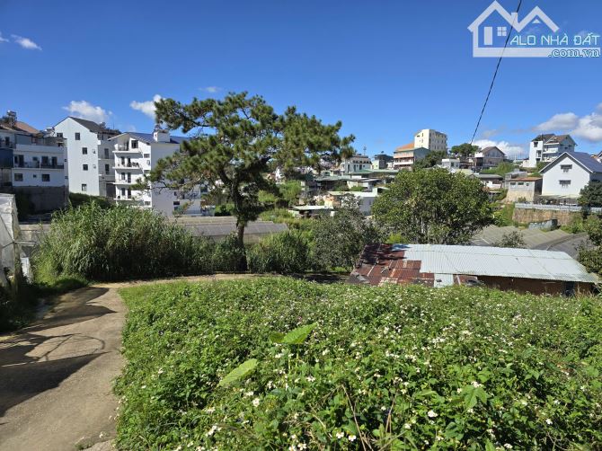 Hơn 1800m2 - Đất đẹp khu đồi Huy Hoàng - 3