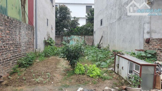 Mở bán đất truc chính kinh doanh tại Đông Lai, Quang Tiến, giá rẻ hơn thị trường vài giá - 3