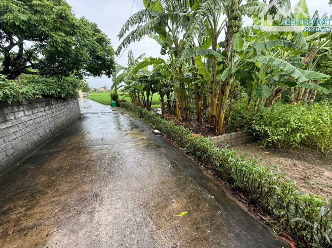 Cần chuyển nhượng lô đất 1050m2 Minh Tân Kiến Thụy Hải Phòng - 3