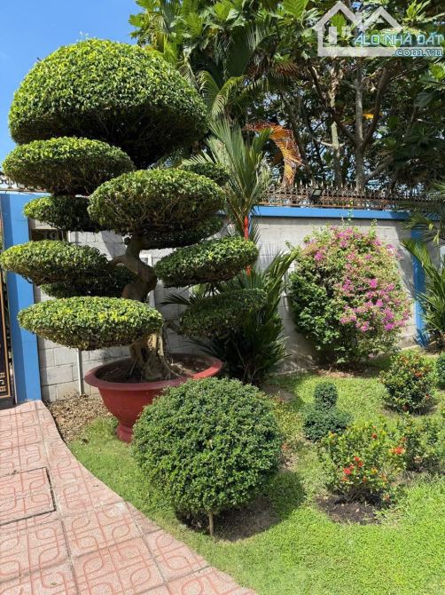 CỦ CHI, BÁN BIỆT THỰ VƯỜN TỈNH LỘ 7, DT 30x52m # 1560m2 THỔ CƯ - 3