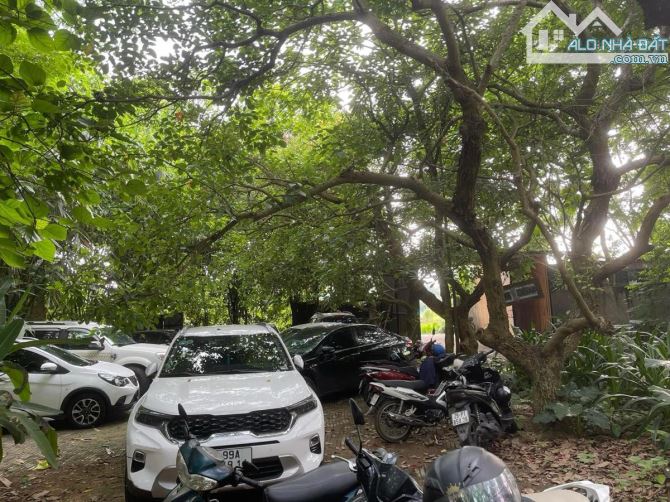 Bán biệt thự sân vườn siêu rộng 4.500 m², tính ra chưa đến 30 triệu một mét, - 3