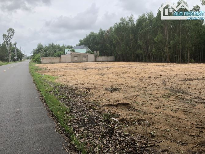 🏡 Đất gần 2000m² TT Phước Hải, 58m mặt tiền nhựa, sổ công chứng ngay 🌿 - 3
