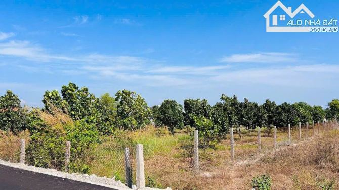 🌿 Bán đất TT Phước Hải - Đất Đỏ - BRVT 🌊 2 mặt tiền trước sau, vườn trái cây 🍊 - 3