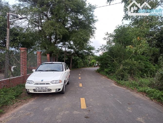 🏡 LONG MỸ - PHƯỚC HẢI, gần sát nhập thị trấn, mặt tiền nhựa rộng 51m - 3