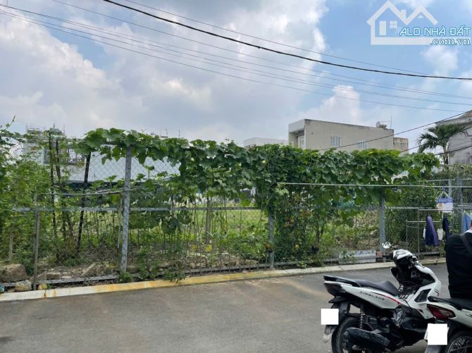 Đất phân lô hẻm xe hơi Đình Phong Phú – Tăng Nhơn Phú B, Thủ Đức – 73m² – 5.9 tỷ TL - 3