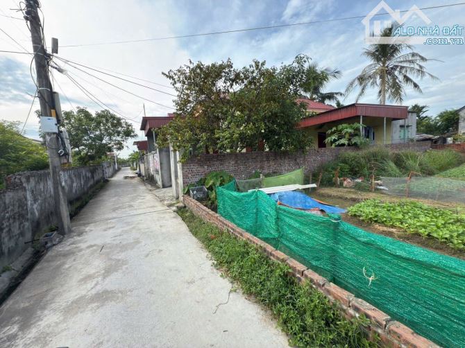 Bán đất Tân Phong - Kiến Thụy - Hải Phòng - 3