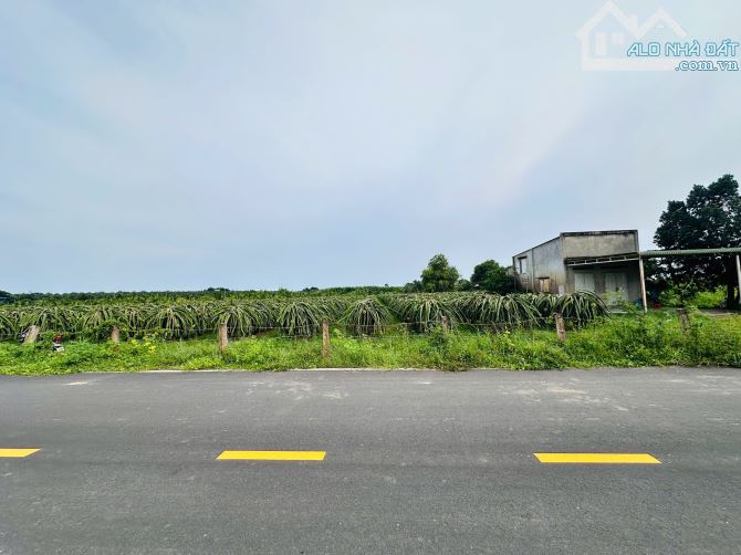 Bán Đất 5376m2 Mặt Tiền Nguyễn Minh Châu, Tân Tiến, La Gi  2.4 triệu/m2 - 3
