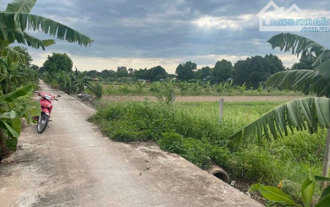 CHÍNH CHỦ GỬI BÁN LÔ ĐẤT50 NĂM. YÊN MỸ 467M, MT 7.91M. ĐƯỜNG THÔNG OTO. - 3