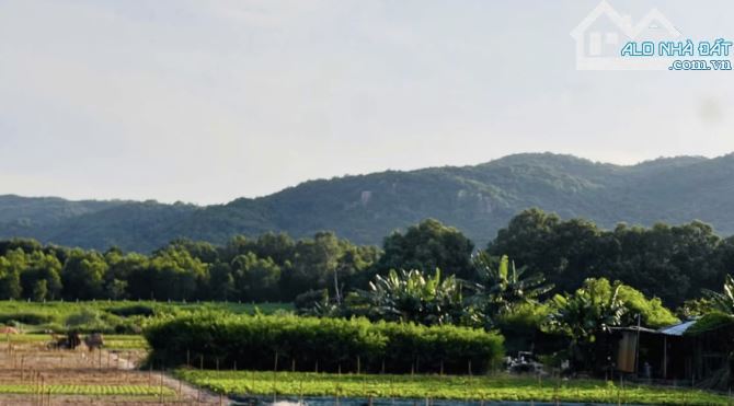 🌄 Long Mỹ View Núi – 2 Mặt Tiền – Gần Biển Phước Hải chỉ 5p 🏖️ - 3