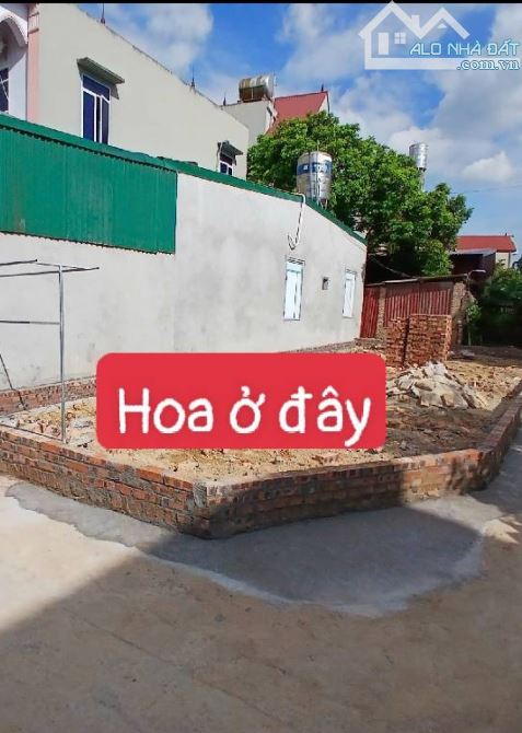 ♥♥♥ĐẤT ĐẸP NHƯ HOA HẬU - THÔN Xuân DỤC -SÓC SƠN -HN  Diện tích: 85,5m², full thổ cư, sổ đỏ - 3