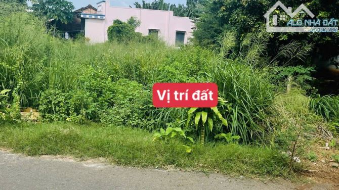 BÁN ĐẤT TRUNG TÂM TT ĐẤT ĐỎ - BRVT. ĐỐI DIỆN QUÁN DÊ HẠ GIÁ CÒN 1TY3 QUÁ RẺ CHO NHÀ ĐẦU TƯ - 3