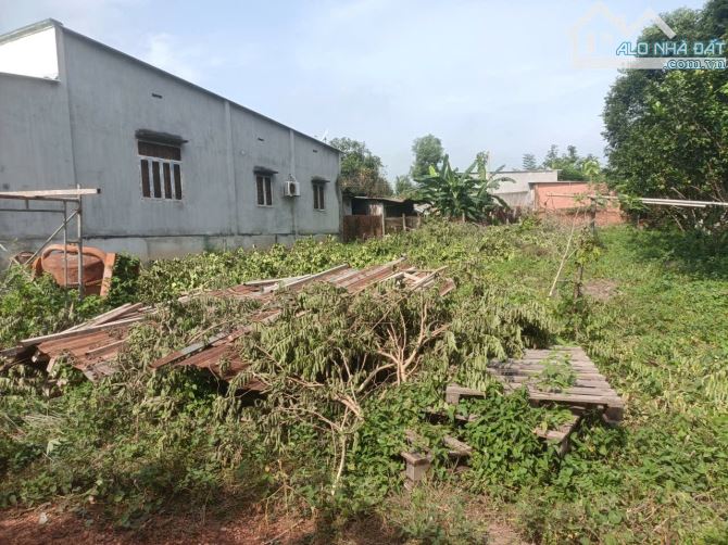 Bán đất đối diện cụm công nghiệp An Lập Dầu Tiếng 6x36m, 950 triệu - 3