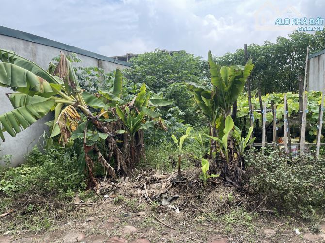 bán đất gia lâm đất  tái định cư vỉa hè oto tránh đầu tư quá đẹp 52m2 nhỉnh 10tỷ có tl - 3
