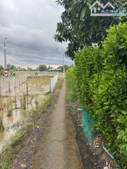 87,2m2 đất thổ vuông vứt sát nhựa 225 triệu tân trụ_Long an giá rẻ đầu tư sổ hiện đường đ - 4