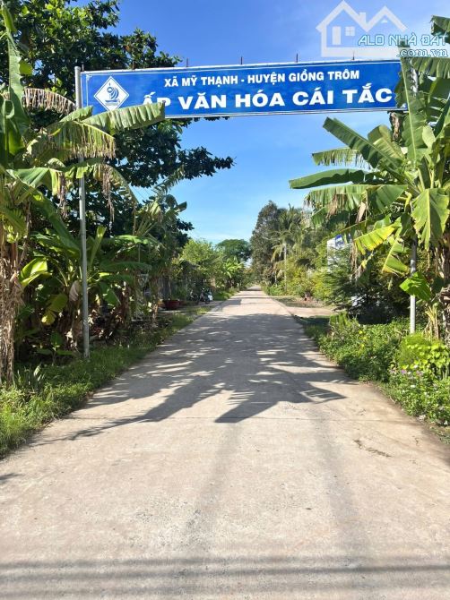Bán1337m2 đất mặt tiền đường liên xã 4m mỹ thạnh - 4