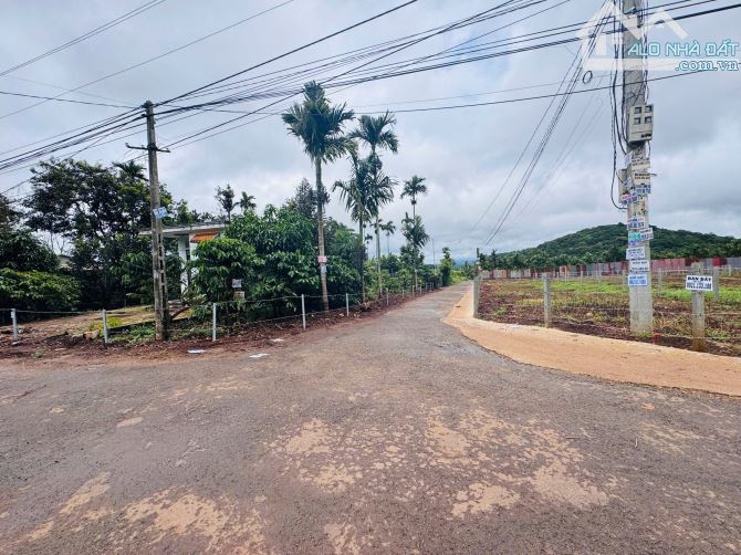🔥 SIÊU PHẨM GÓC 2 MẶT TIỀN TRỤC CHÍNH KOM LEO – P. TÂN LẬP 🔥 💥 GIÁ RẺ BÈO – CƠ HỘI CỰC - 4