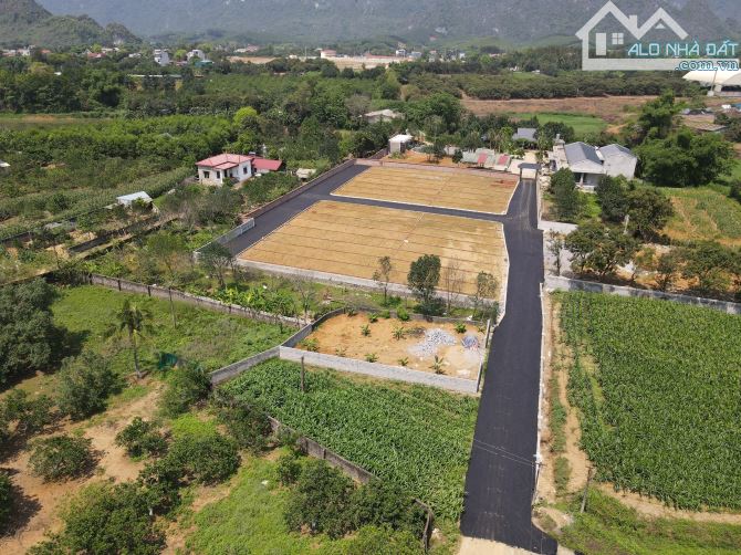 Đón sóng đầu tư sát KCN Phú Thành - Giá F0 chỉ 580tr - 94m- sẵn sổ riêng từng n - 4