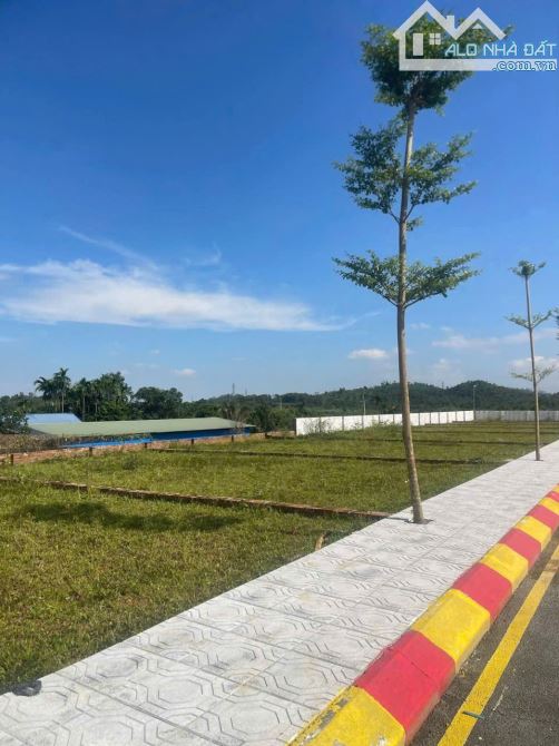 XU HƯỚNG !..  HƠN 2 TỶ SỞ HỮU NGAY  LÔ ĐẤT FULL THỔ CƯ KHU VƯC PHÚ CÁT – HÒA LẠC - 4