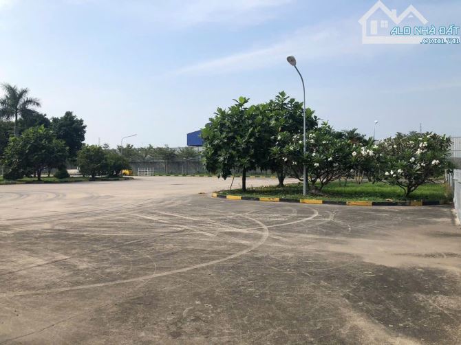 Cho Thuê Xưởng 1Ha2 Giá Tốt Trong KCN Nhơn Trạch,Đồng Nai. - 4